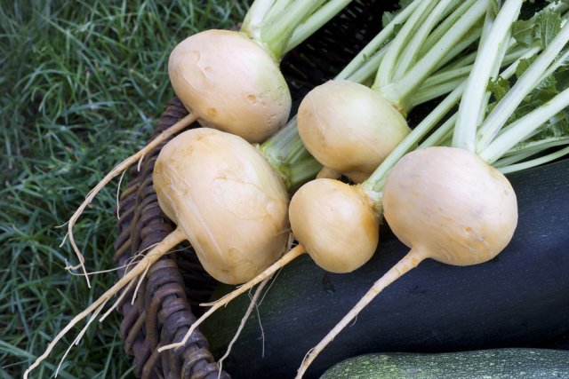 11 самых полезных луковиц, клубней и корнеплодов надо посадить в этом сезоне