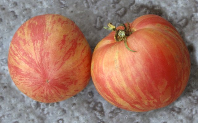 Пушистые сорта томатов — 7 вариантов для теплиц и открытого грунта