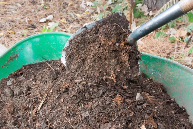 11 способов использовать компост в вашем саду