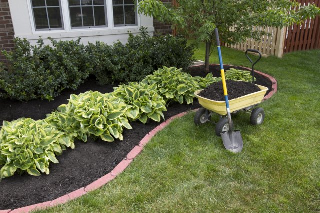 11 способов использовать компост в вашем саду