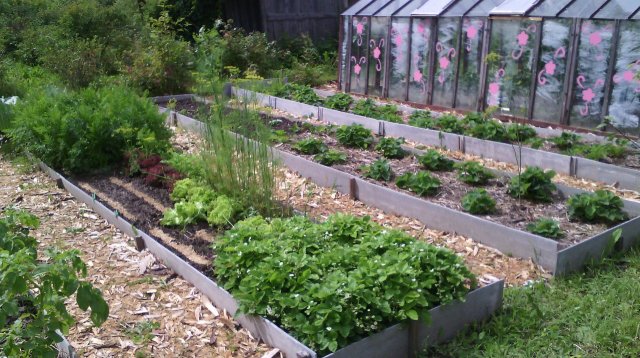 Красивые грядки своими руками: 50 идей, как украсить сад