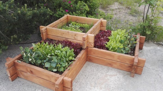 Красивые грядки своими руками: 50 идей, как украсить сад