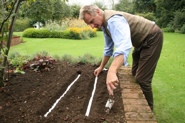Дачникам на заметку: 10 советов, которые упростят уход за садом