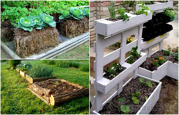 16 идей приподнятых грядок, которые помогут увеличить урожайность и пространство в саду