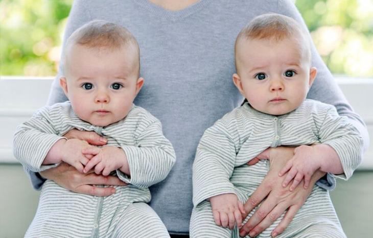 Чем близнецы отличаются от близнецов?
