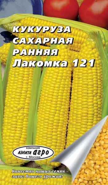 Посадка кукурузы в открытый грунт: как получить хороший урожай с минимальным уходом