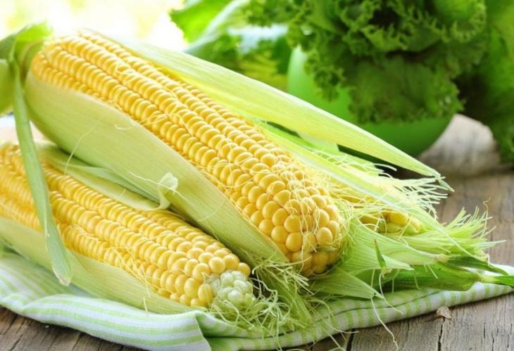 Посадка кукурузы в открытый грунт: как получить хороший урожай с минимальным уходом