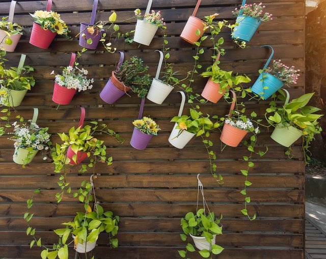 Это так просто: 25 крутых трюков, которые превратят ваш сад в сад с обложки