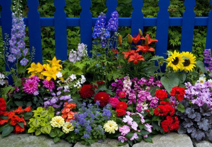 Как посадить цветы на клумбе, чтобы они гармонично сочетались