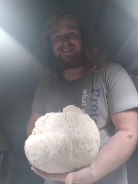 Они отправились за грибами и нашли настоящие грибные сокровища