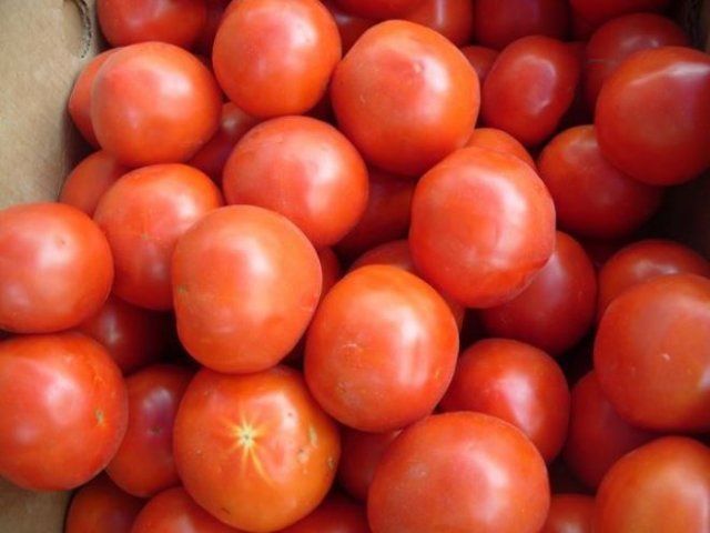 Самые необычные гибриды томатов – мифы и реальность