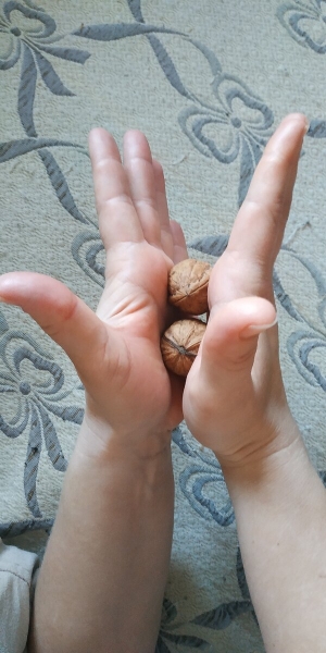 Какую пользу могут принести всего лишь два грецких ореха, если их носить постоянно с собой